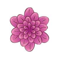 cute flower pink color isolated icon vector