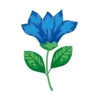 cute flower blue with branch and leafs isolated icon vector