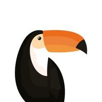 toucan animal exotic isolated icon vector