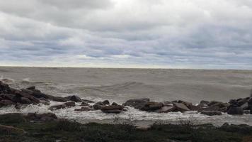 Brown waves crashing into coastline of Lake Michigan. Brown rolling waves of water. Foamy water on edges. Weeds waving in wind video