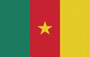 Illustration of the national flag of Cameroon photo