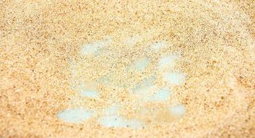Sand texture. Sandy beach for background photo