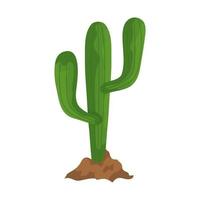 Isolated cactus plant vector design