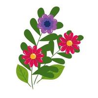 Isolated flowers with leaves vector design