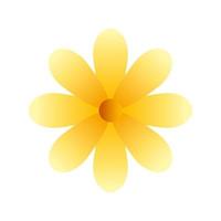 cute flower yellow color isolated icon vector