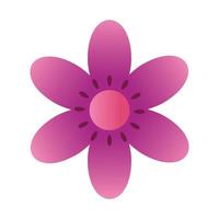 cute flower purple color isolated icon vector