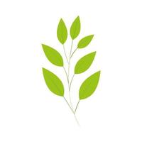 branch with leafs natural isolated icon vector