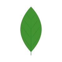 leaf nature ecology isolated icon vector