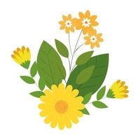 cute flowers yellow color with branches and leafs vector