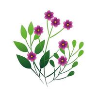 cute flowers purple color with branches and leafs vector