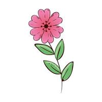 cute flower pink with branch and leafs isolated icon vector