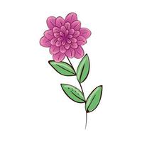 cute flower purple with branch and leafs vector