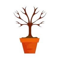 dry tree in pot plant isolated icon vector