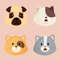 faces of cute little cats with dog vector