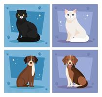 set poster of cute cats and dogs vector