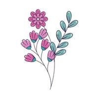 branch with flowers and leafs isolated icon vector