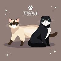 group of cute cats animals vector