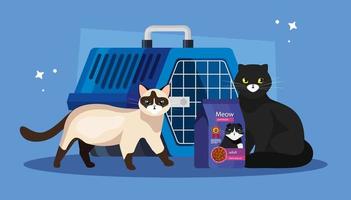 gatos con comida en bolsa y caja de transporte para mascotas. vector