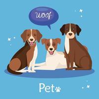 lindo grupo de perros en fondo azul vector