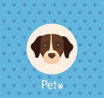 face of brown dog with white spot in background with pawprints vector