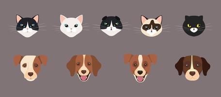 set of cute faces of cats and dogs vector