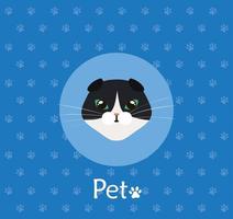 Cara de gato en blanco y negro de fondo con pawprints vector