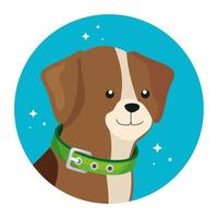 face of cute dog in frame circular vector