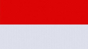 Indonesia national flag image vector with waving lines pattern.