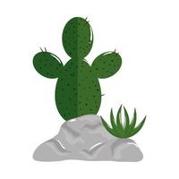 Planta de cactus aislado sobre diseño de vector de roca