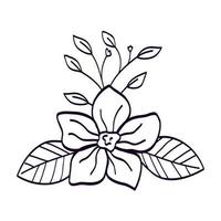 cute flower with branch and leafs line style icon vector