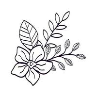 cute flower with branches and leafs line style icon vector