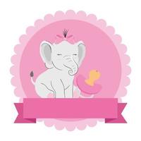 cute elephant female with pacifier in lace frame vector