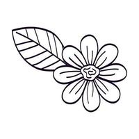 cute flower with leaf line style icon vector