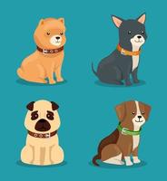 group of cute dogs animals vector