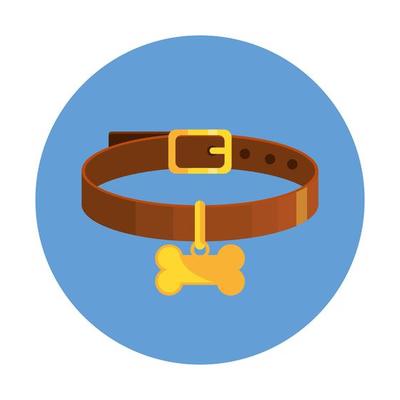 collar for dog with bone in frame circular isolated icon