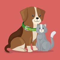 cute little dog with cat vector