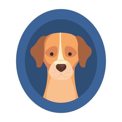 head of cute dog in frame circular isolated icon