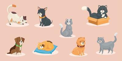 group of cute dogs with cats vector