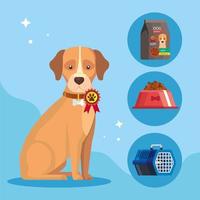 cute dog animal with icons vector