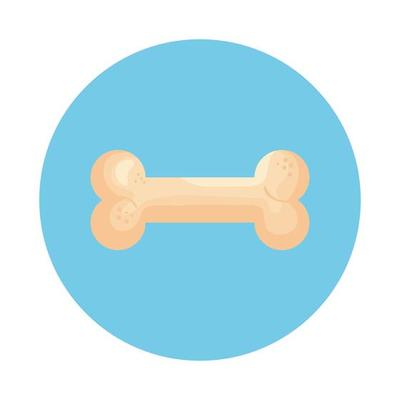 bone toy dog in frame circular isolated icon