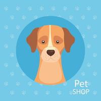 pet shop with cute dog in frame circular vector