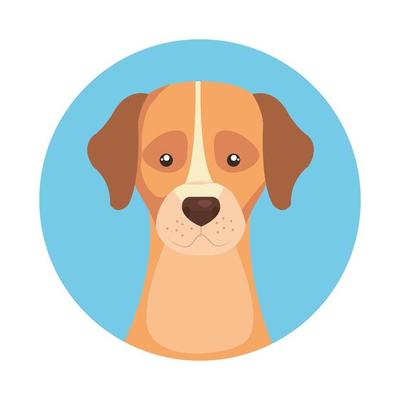 head of cute dog in frame circular isolated icon