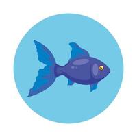 cute fish in frame circular isolated icon vector