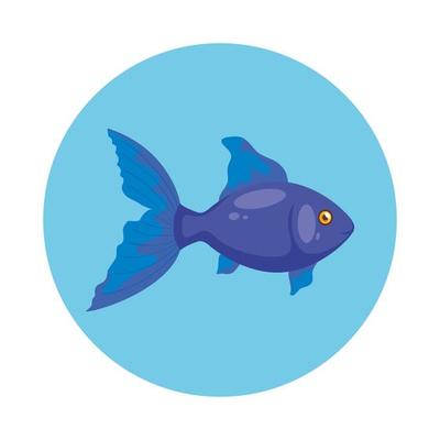 cute fish in frame circular isolated icon