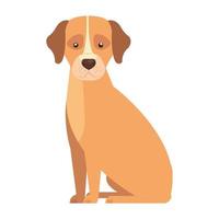 lindo perro animal icono aislado vector