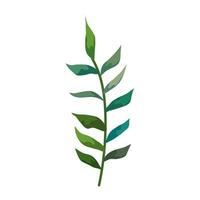 branch with tropical natural leafs isolated icon vector