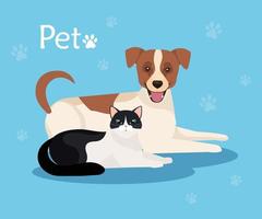 lindo perro con gato en fondo azul con pawprints vector