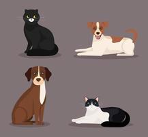 group of cute cats and dogs vector