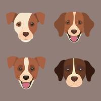 set faces of cute dogs vector