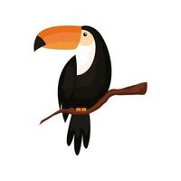 toucan animal exotic isolated icon vector